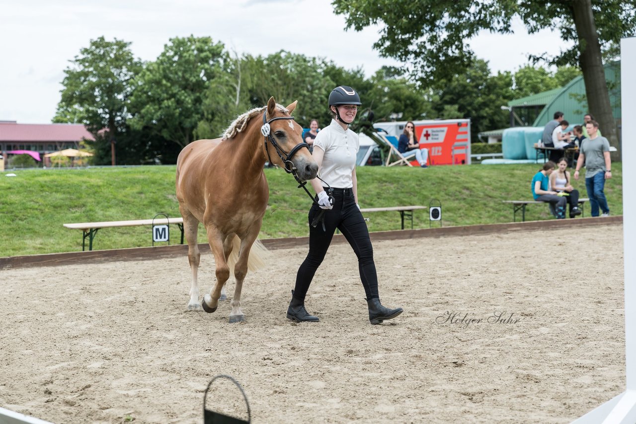 Bild 18 - Pony Akademie Turnier